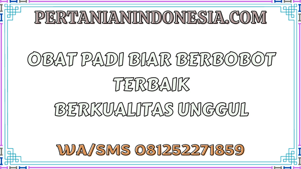 Obat Padi Biar Berbobot Terbaik Berkualitas Unggul